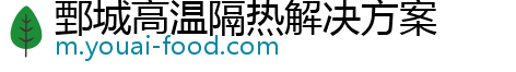 鄄城高温隔热解决方案